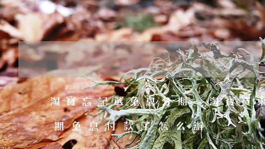 淘寶忘記選免息分期-淘寶買東西忘記點分期免息付款了 怎么辦