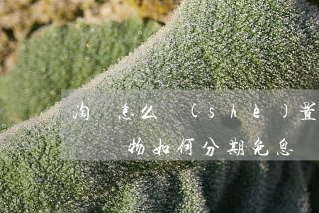 淘寶怎么設(shè)置單品分期免息-淘寶購物如何分期免息