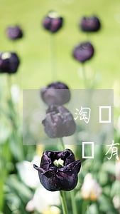 淘寶沒有分期免息選項(xiàng)(淘寶沒有分期付款的選項(xiàng))