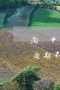 淘寶申請退貨后逾期不退貨 淘寶申請退貨后逾期不退貨會怎么樣