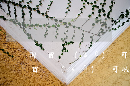 淘寶百億補(bǔ)貼可以分期免息嗎(淘寶百億補(bǔ)貼可以分期免息嗎)