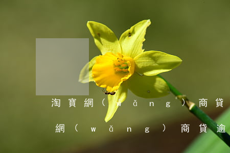 淘寶網(wǎng)商貸款逾期一天(支付寶網(wǎng)商貸逾期了一天會怎樣)