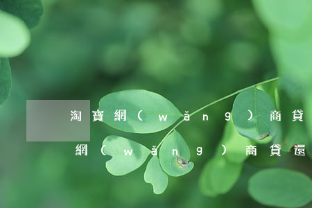 淘寶網(wǎng)商貸起訴了怎么辦(淘寶網(wǎng)商貸還不上怎么辦)