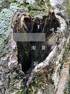 淘寶網(wǎng)商貸逾期會(huì)起訴嗎