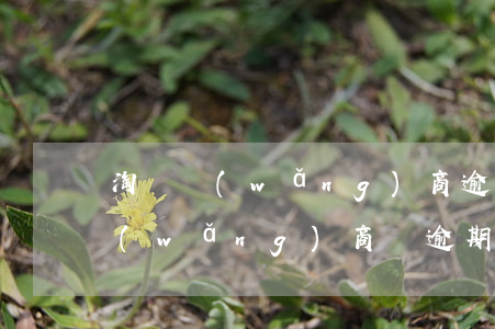 淘寶網(wǎng)商逾期幾天征信(淘寶網(wǎng)商貸逾期)