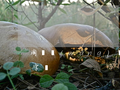 淘寶網(wǎng)購物十字繡(天貓商城十字繡)