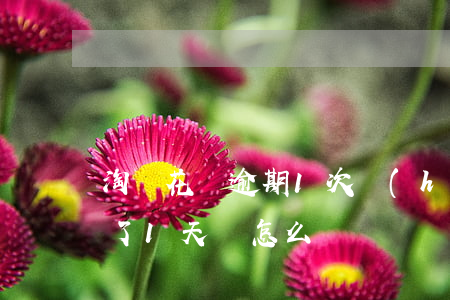 淘寶花唄逾期1次會(huì)怎樣(花唄超了1天還怎么辦?)