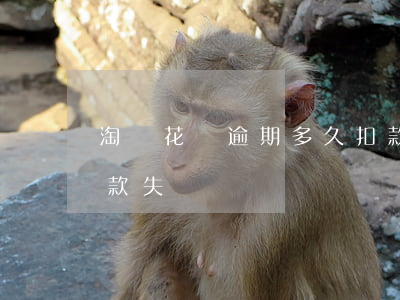 淘寶花唄逾期多久扣款(淘寶花唄逾期多久扣款失敗)