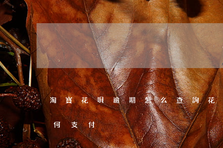 淘寶花唄逾期怎么查詢(花唄逾期了淘寶還如何支付)
