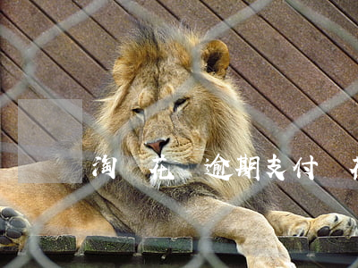 淘寶花唄逾期（支付寶花唄逾期在注冊支付寶）