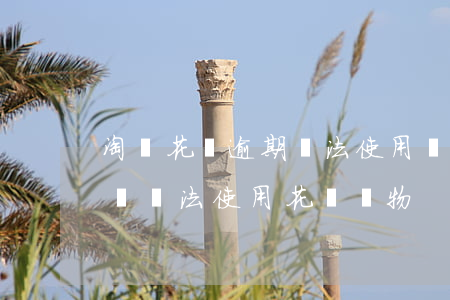 淘寶花唄逾期無法使用嗎(花唄沒有逾期怎么會無法使用花唄購物)