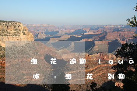 淘寶花唄逾期關(guān)閉還款通道了咋辦-淘寶花唄到期沒還會怎樣