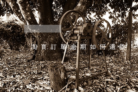 淘寶訂單逾期如何還款