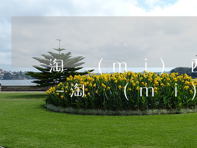 淘寶買(mǎi)東西支付寶逾期了怎么辦-淘寶買(mǎi)東西支付寶逾期了怎么辦理