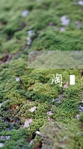 淘寶買到假貨