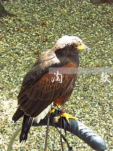 淘寶貸款不小心逾期一天(貸款逾期了一天)