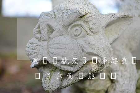 淘寶貸款欠了還不起(有沒有淘寶貸款逾期過還了后面還能貸嗎)