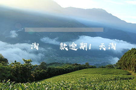 淘寶貸款逾期1天(淘寶貸款逾期1天)