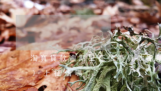 淘寶貸款逾期上征信嗎?(貸款逾期會(huì)上征信嗎)