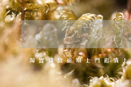 淘寶貸款逾期上門追債(上門追債合法嗎)