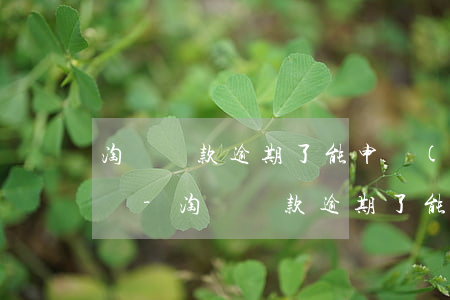 淘寶貸款逾期了能申請(qǐng)信用卡嗎-淘寶貸款逾期了能申請(qǐng)信用卡嗎安全嗎