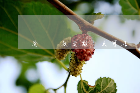 淘寶貸款逾期兩天可以嗎(貸款逾期2天有影響嗎)