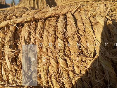 淘寶貸款逾期多久起訴(淘寶貸款逾期后多久恢復(fù))