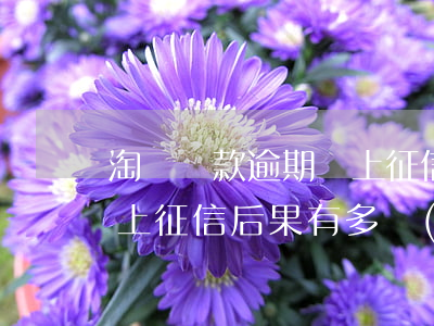 淘寶貸款逾期會上征信嗎(螞蟻借唄逾期多久上征信?后果有多嚴(yán)重?)