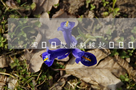 淘寶貸款逾期被起訴詐騙(淘寶退貨詐騙貸款)