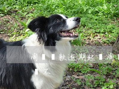 淘寶貸款逾期起訴(淘寶有貸款逾期天貓有影響不)