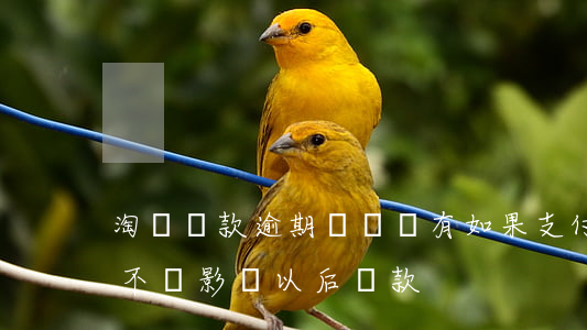 淘寶貸款逾期過還會有(如果支付寶逾期了會不會影響以后貸款)
