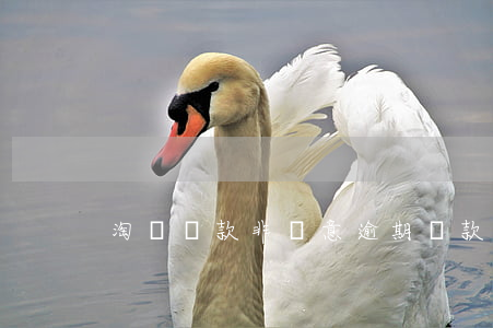 淘寶貸款非惡意逾期(貸款逾期違法嗎)