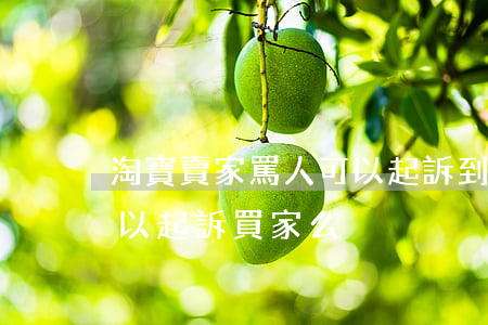 淘寶賣家罵人可以起訴到法院嗎(淘寶商家可以起訴買家么)