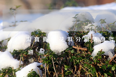 淘寶賣家花唄分期免息要不要開(kāi)通