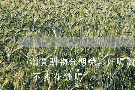 淘寶購物分期免息好嗎 淘寶的分期免息真的不多花錢嗎