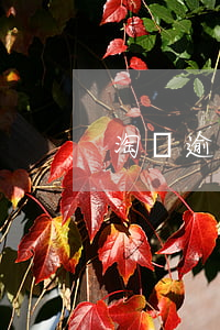 淘寶逾期不還會怎么樣-淘寶逾期處理