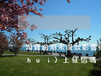 淘寶逾期未還款影響征信(淘寶花唄逾期會(huì)上征信嗎)