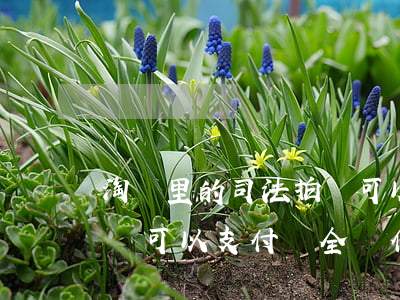 淘寶里的司法拍賣可以用花唄嗎(淘寶司法拍賣 可以支付寶全額付款嗎?)