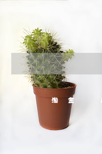 淘金薈逾期(淘金薈逾期)