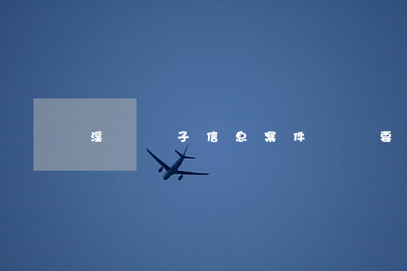 淫穢電子信息案件辯護要點