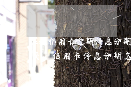 淮北信用卡逾期停息分期怎么協(xié)商-信用卡停息分期怎么申請