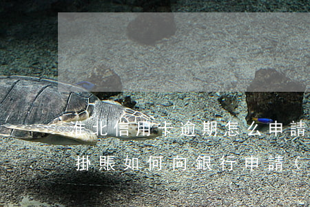 淮北信用卡逾期怎么申請(qǐng)停息掛賬(如何向銀行申請(qǐng)信用卡停息掛賬)