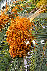 淮南农金银行信用卡逾期案