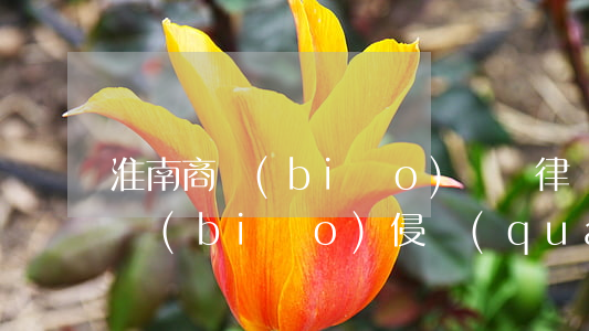 淮南商標(biāo)訴訟律師怎么收費(商標(biāo)侵權(quán)律師費多少錢)
