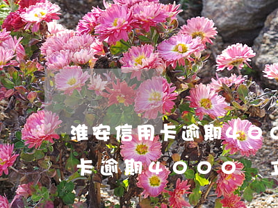 淮安信用卡逾期4000會立案嗎 淮安信用卡逾期4000會立案嗎嗎