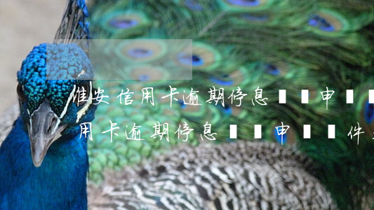 淮安信用卡逾期停息掛賬申請條件-淮安信用卡逾期停息掛賬申請條件是什么