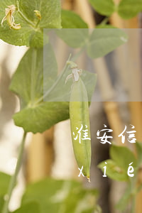 淮安信用卡逾期債務(wù)重組怎么協(xié)商-淮安信用卡逾期債務(wù)重組怎么協(xié)商還款