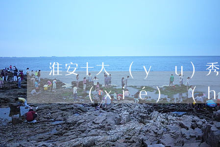 淮安十大優(yōu)秀律師王艷(淮安市律師協(xié)會(huì))