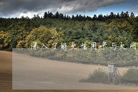 深入了解：欠信用卡与欠网贷的本质区别