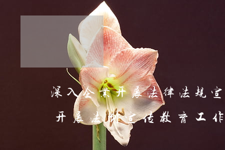 深入企业开展法律法规宣传(如何在工作中开展法制宣传教育工作)